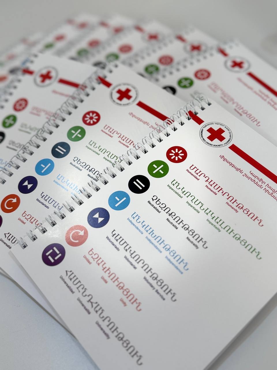 Red Cross project 1